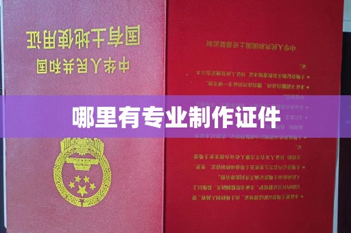 涿州哪里有专业制作证件
